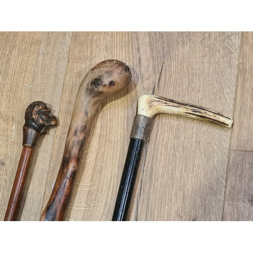 295 - A Walking Cane with carved monkey head handle with moving jaw, an antler handles Cane and another Th... 