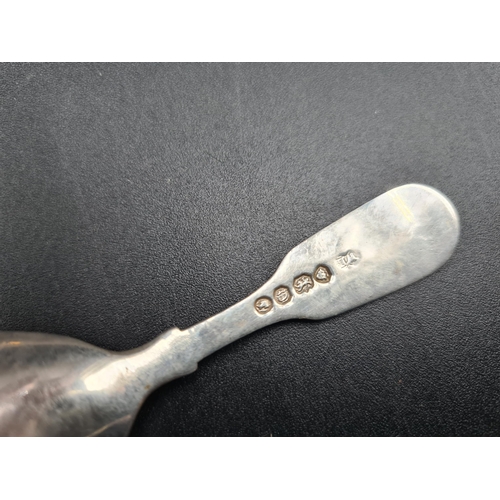 138 - A George IV silver Caddy Spoon fiddle pattern, London 1828, another, fiddle and shell pattern, Londo... 