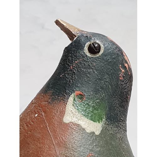 15 - A carved and painted Pigeon Decoy with glass eyes and spring underneath, A/F, and another painted Pi... 