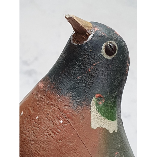 15 - A carved and painted Pigeon Decoy with glass eyes and spring underneath, A/F, and another painted Pi... 