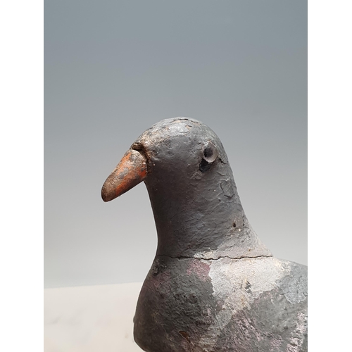 15 - A carved and painted Pigeon Decoy with glass eyes and spring underneath, A/F, and another painted Pi... 