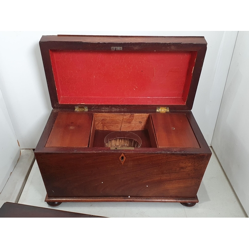 327 - A large mahogany sarcophagus Tea Caddy, 14in, and a Table Chest of multiple drawers, 17 1/2in W, (R5... 