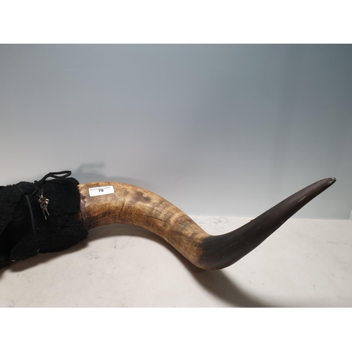 70 - A pair of Bull Horns, 2ft 5in W (R7)