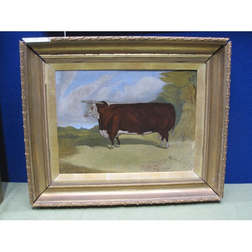 72 - ENGLISH SCHOOL, 20Th CENTURY. A Prize Hereford Bull, bears added signature 'R.Whitford', oil on canv... 