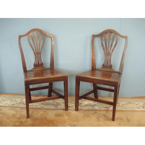 24 - A pair of 19th Century elm pierced splat back Chairs with mahogany seats