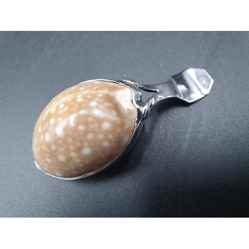 18 - A George III silver mounted cowrie shell Caddy Spoon, fiddle and thread pattern, unmarked