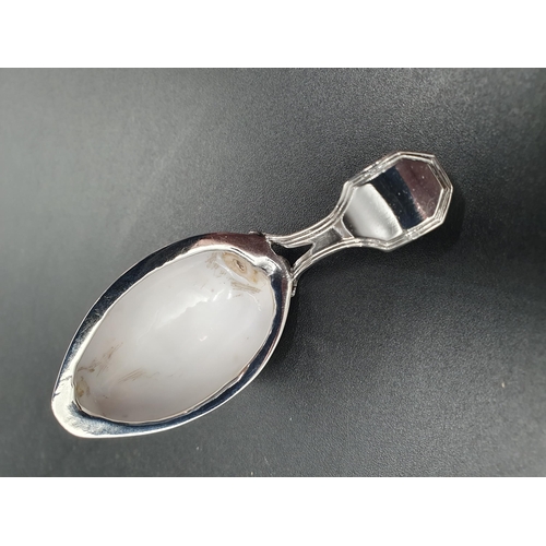 18 - A George III silver mounted cowrie shell Caddy Spoon, fiddle and thread pattern, unmarked