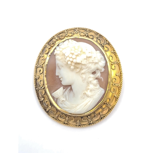 209 - A carved shell Cameo Brooch of bust in profile, fruiting vine to hair in yellow metal frame with scr... 