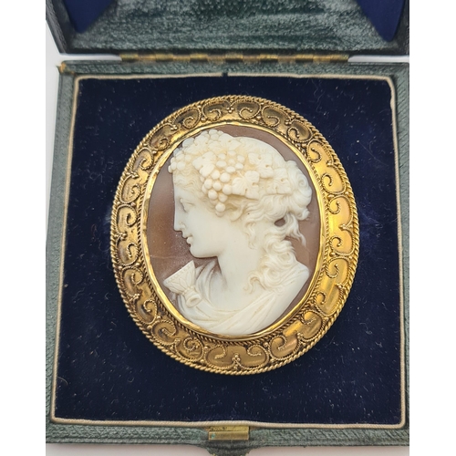 209 - A carved shell Cameo Brooch of bust in profile, fruiting vine to hair in yellow metal frame with scr... 