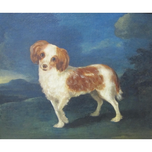 293 - ENGLISH SCHOOL , EARLY 19th CENTURY. A King Charles Spaniel in a Landscape, oil on canvas, 19 x 23 1... 