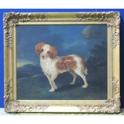 293 - ENGLISH SCHOOL , EARLY 19th CENTURY. A King Charles Spaniel in a Landscape, oil on canvas, 19 x 23 1... 