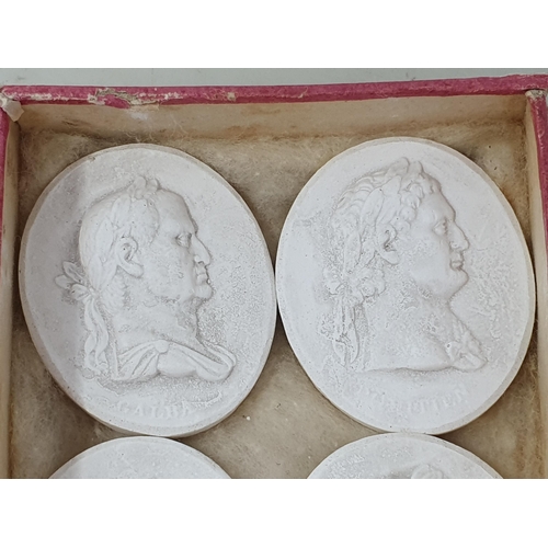 686 - A set of Grand Tour plaster cameo Portraits of the first twelve Roman Caesars, consisting of Julius ... 