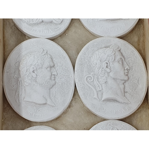 686 - A set of Grand Tour plaster cameo Portraits of the first twelve Roman Caesars, consisting of Julius ... 