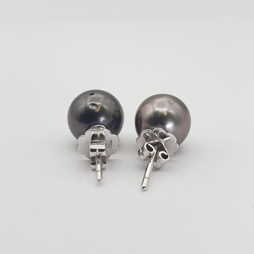 197 - A pair of black South Sea Pearl Ear Studs