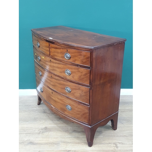 547 - A 19th Century mahogany bow fronted Chest of two short above three long drawers raised on splayed fe... 