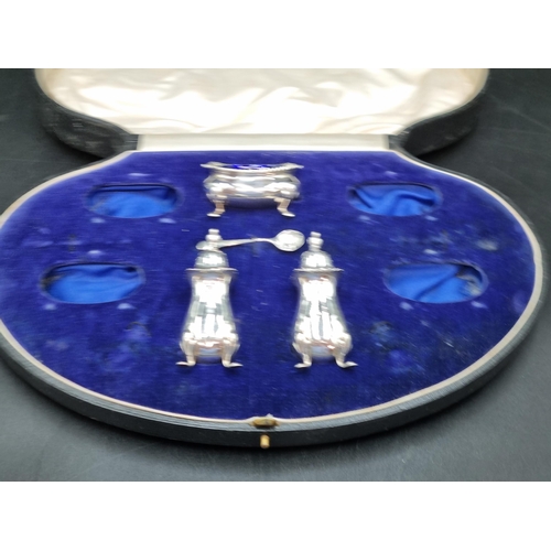 122 - Three George V silver Condiments and Spoon, Birmingham 1920/1, in case