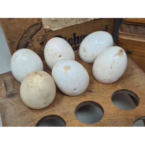 36 - A vintage wooden Egg Box, a wooden Egg Tray with 5x plaster and another dummy Eggs, a 'Bovril' woode... 
