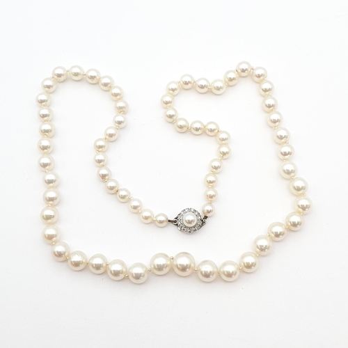 182 - A string of graduated Cultured Pearls on white metal clasp set half pearls within frame of diamonds