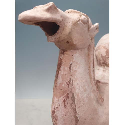 350 - An unglazed pottery Camel, Tang style, 15in H, A/F, (R5)