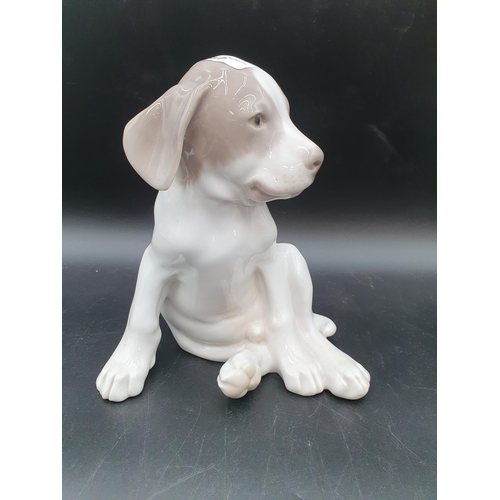 67 - A Royal Copenhagen Figure of  a seated Puppy, 8in, No 1452/259 (R1)