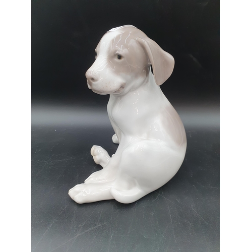 67 - A Royal Copenhagen Figure of  a seated Puppy, 8in, No 1452/259 (R1)