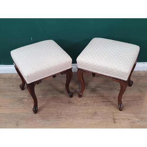 261 - A near pair 19th Century rosewood Dressing Stools raised on slender cabriole supports and cream upho... 