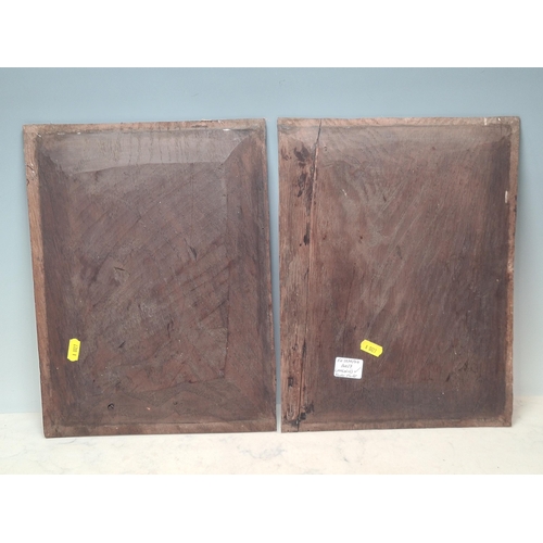 425 - A pair of 17th Century carved oak panels with scroll and floral decorations, 14