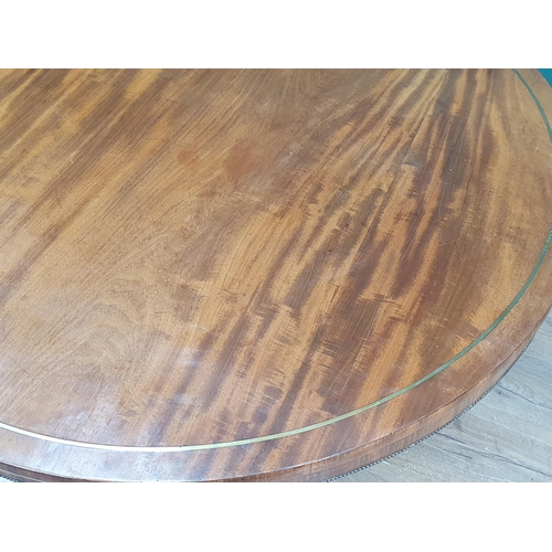 428 - A Regency mahogany circular Centre Table with brass inlaid top on turned and fluted column, concave ... 