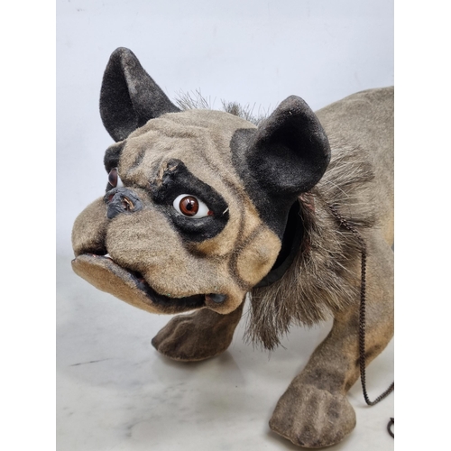 619 - A papier maché and felted French Bulldog, nodding head, articulated jaw, on wooden casters and with ... 