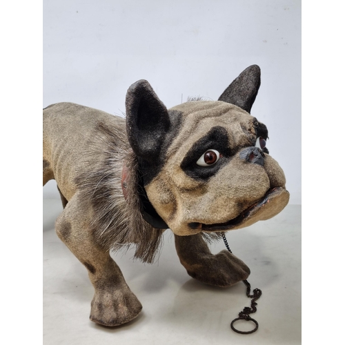 619 - A papier maché and felted French Bulldog, nodding head, articulated jaw, on wooden casters and with ... 