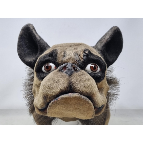 619 - A papier maché and felted French Bulldog, nodding head, articulated jaw, on wooden casters and with ... 