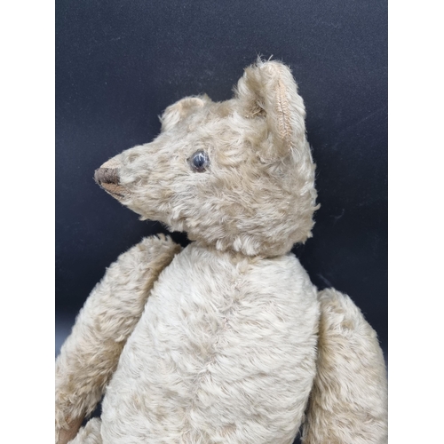 649 - An early 20th Century Teddy Bear by J F Klarner with original pads, pointed snout, 25in