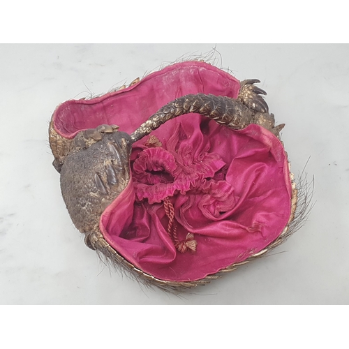 855 - An antique taxidermy Armadillo Basket with pink silk lining 8in L