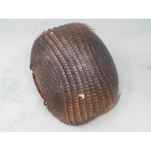 855 - An antique taxidermy Armadillo Basket with pink silk lining 8in L