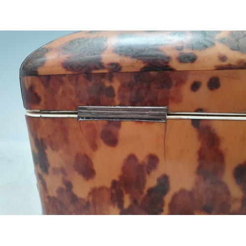 431 - A 19th Century tortoiseshell Tea Caddy with two interior lidded compartments, silver cartouche engra... 