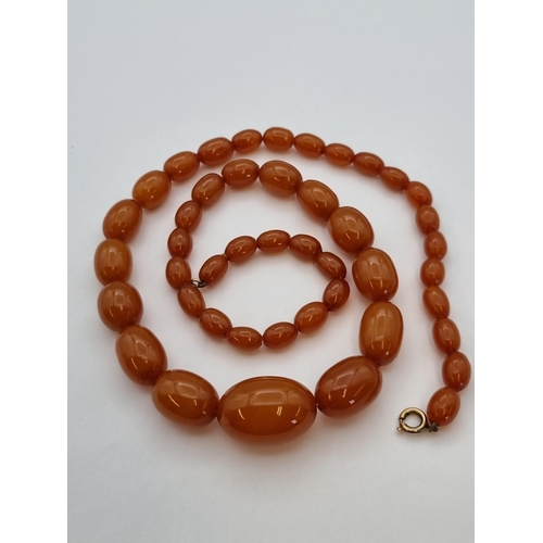 166 - An Amber type graduated bead Necklace, approx 60ms, approx 69cms long