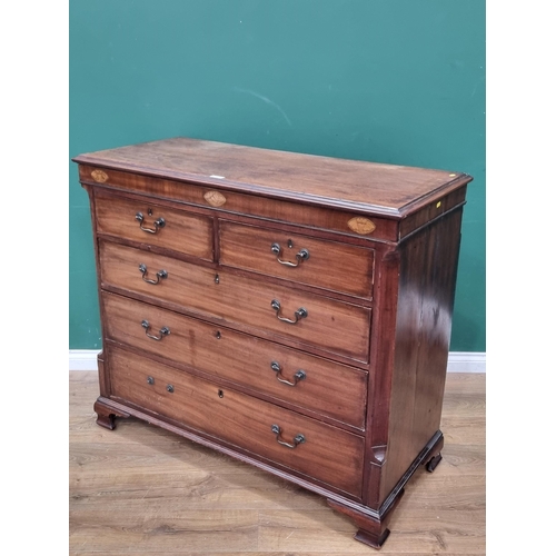 16 - A 19th Century mahogany Chest of two short and three long graduated drawers with shell inlay and cha... 