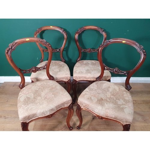 500 - A set of four Victorian walnut balloon back Chairs on cabriole supports (R6)