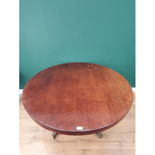 509 - A 19th Century mahogany circular Breakfast Table on quadruple splayed base with brass paw toe caps a... 