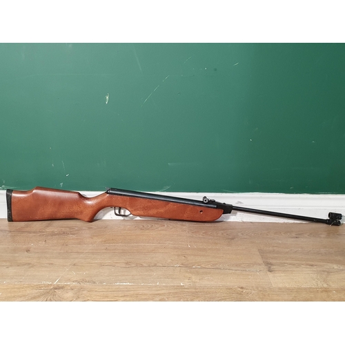 576 - A Cometa Model 300 .22 Air Rifle. (R5).