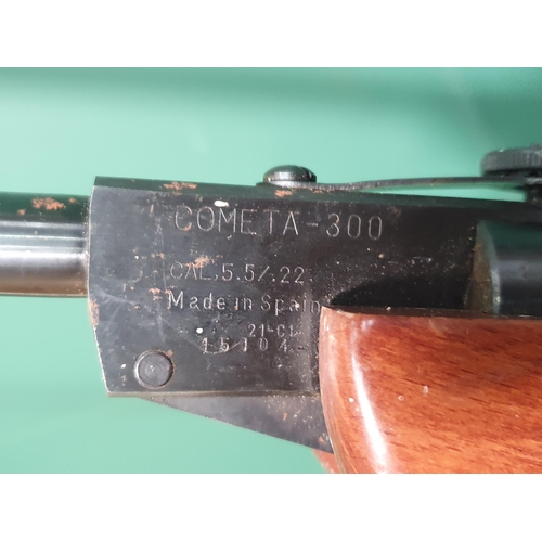 576 - A Cometa Model 300 .22 Air Rifle. (R5).