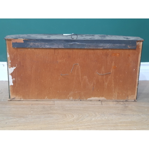 588 - An ebonised and glazed bow fronted taxidermy Case displaying a Brown Trout 1ft 10in W x 10 1/2in H (... 