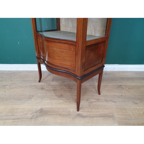 602 - An Edwardian mahogany and inlaid serpentine fronted Display Cabinet 5ft 7in H x 2ft 3in W (R7)