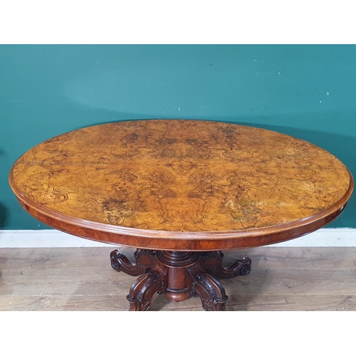 716 - A Victorian burr walnut oval Loo Table on quadruple splayed base with scroll feet 4ft W x 2ft 4in H ... 