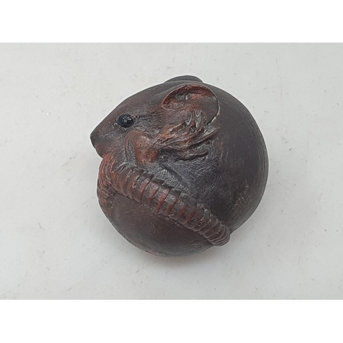 97 - A carved Netsuke in the form of a coiled rat, bears signature