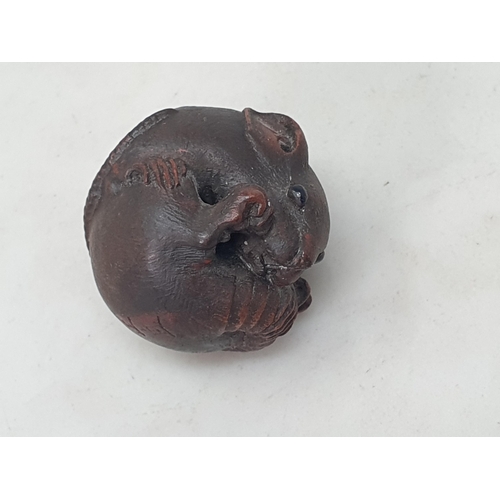 97 - A carved Netsuke in the form of a coiled rat, bears signature