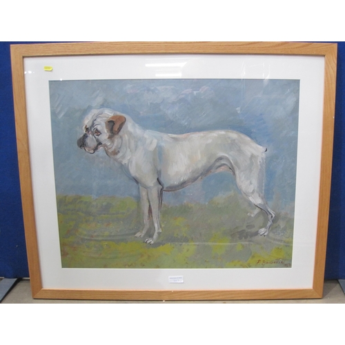 363 - P. BOUVERIE. Study of a Boxer Dog , oil on board,  22 1/2 x 29 in (R3)