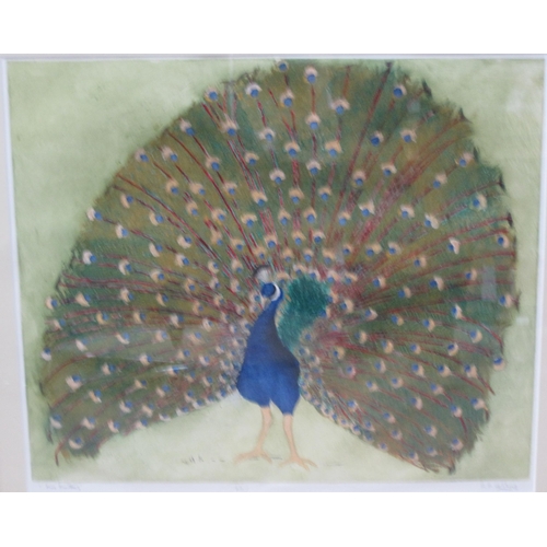 431 - RACHEL ANN LE BAS , NEAC, RE. 'Mediterranean Sea-bed Scape', Fine Feathers (Peacock) 'Pheasant Finer... 