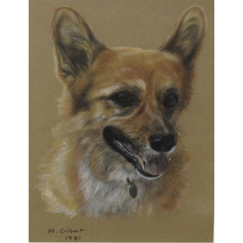 361A - M.GILBERT. Portrait study of a Corgi, signed and dated 1981, pastel, 8 1/2 x 6 1/2 in; and one other... 