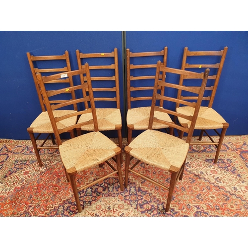 19 - A set of Six rush seated Ladderback Dining Chairs on tapered supports and stretchers. (R7).